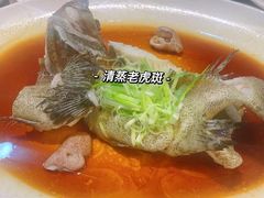 -猪肉婆私房菜(容桂总店)