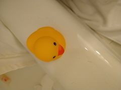 -上海浦东华美达大酒店