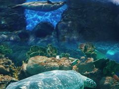 -上海海洋水族馆