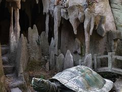 -嵖岈山风景区