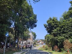 -黄埔油麻山森林公园