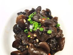 -饭怕鱼·黄焖鲟龙鱼(湖大店)