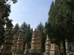 景点-少林寺景区