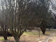 -秦始皇帝陵博物院(兵马俑)