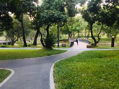 -四海公园(南山区)