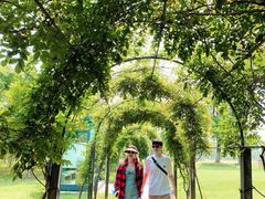 -上海长兴岛郊野公园