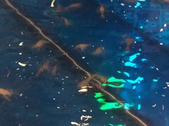 -钳真多钓虾馆·小龙虾海鲜烧烤(九六广场店)