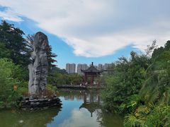 -广州神农草堂中医药博物馆