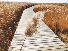 景点-野鸭湖国家湿地公园