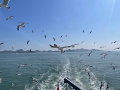 -海驴岛(荣成市)