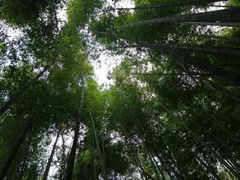 -鸡枕山