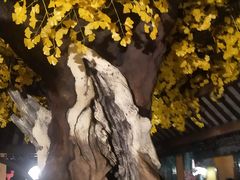 -重庆德庄火锅(龙游店)