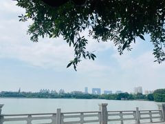 -海珠湖公园