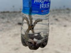 -三亚鹿回头高尔夫球会-停车场