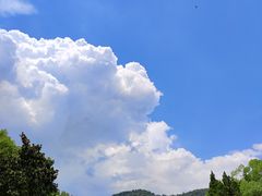 -浙江大学(玉泉校区)