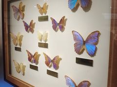 -上海昆虫博物馆