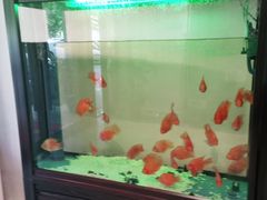 -北纬37°SPA养身会馆(湖西店)