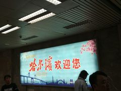 -哈尔滨太平国际机场