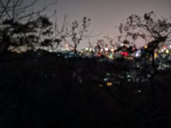 -广州雕塑公园