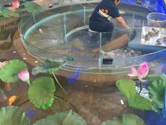 -火福·天湖阁大闸蟹博物馆主题餐厅(浅水湾店)