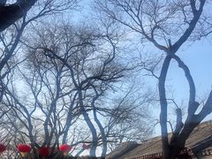 -北京国子监胡同