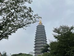 -听松楼·花园酒店·自助餐厅(红梅公园店)