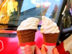 -富豪雪糕车流动点(尖沙咀店)