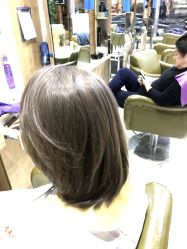 -环球蝶上美业连锁