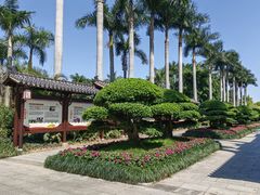 -金花茶公园