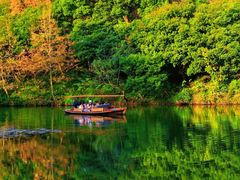 -西湖外事游船(花港观鱼码头)