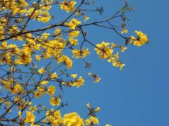 -西南民族大学南区(双流校区)