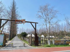 -前小桔亲子创意农场·草莓采摘·露营烧烤