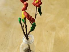 -中关村生命科学园