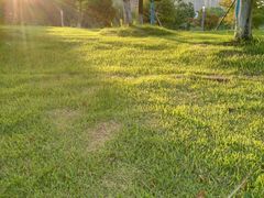 -白鹭湾湿地公园