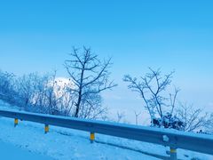 -武陵山森林公园