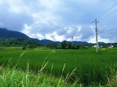 -黟县屏山村