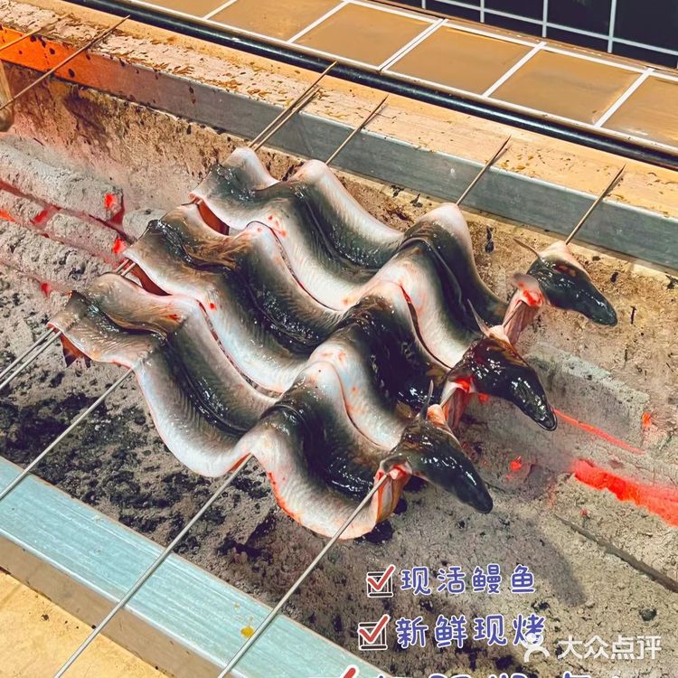 鳗鱼爱好者的福音！哲平鳗鱼强势来袭！