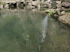 -百丈飞瀑