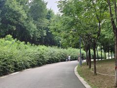-河北省园博园