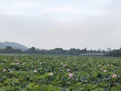 -云龙湖旅游景区