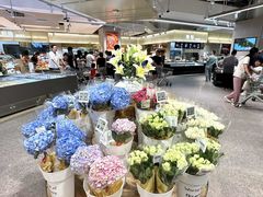 -坂田天虹