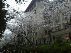 -武汉大学-樱园