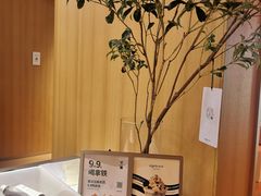 -代数学家algebraist(苏州中心店)