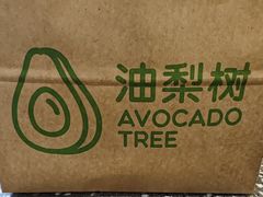 -油梨树AVOCADO TREE(嘉里中心店)
