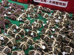 -盒马鲜生(文景博乐里购物广场店)