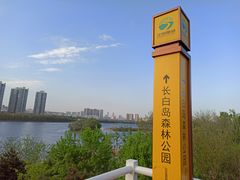 -长白岛森林公园