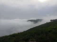 -白草畔自然风景区