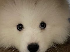 -烤匠麻辣烤鱼(万象城店)