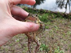 -共青国家森林公园-售票处