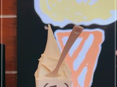 -野人先生现做冰淇淋(北京环宇荟店)